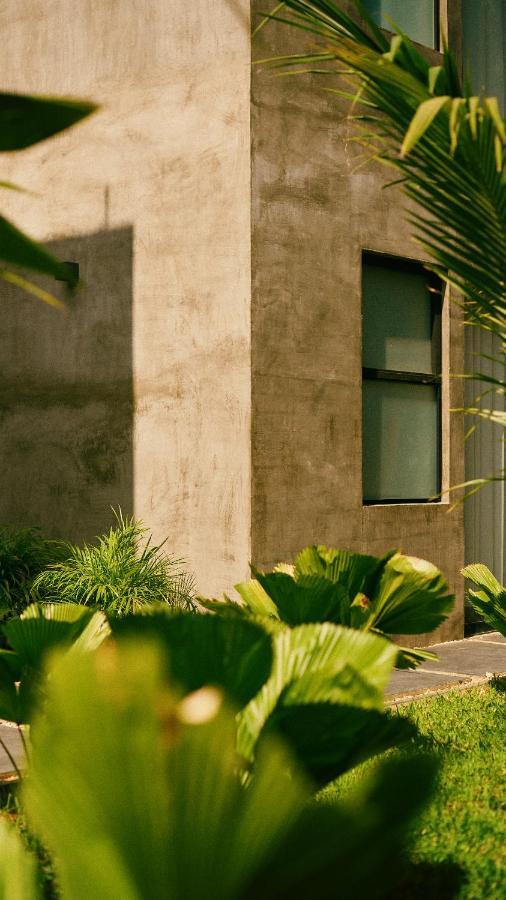 Aldea Paraiso - Adults Only - Boutique Hotel ปูแอร์โตเอสกอนดิโด ภายนอก รูปภาพ